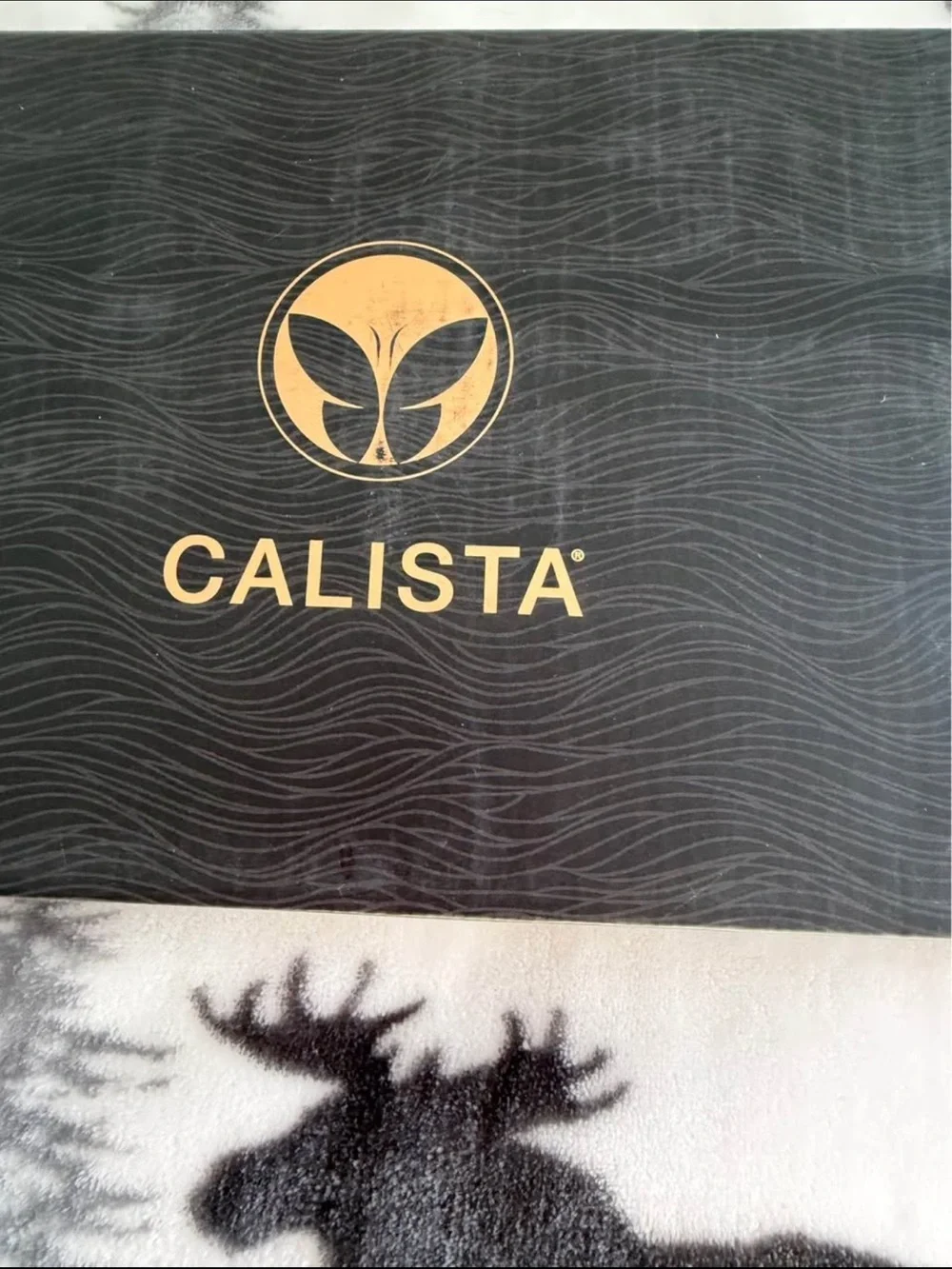 Calista Gold & Black Hair Brush Set - Leopard Accent